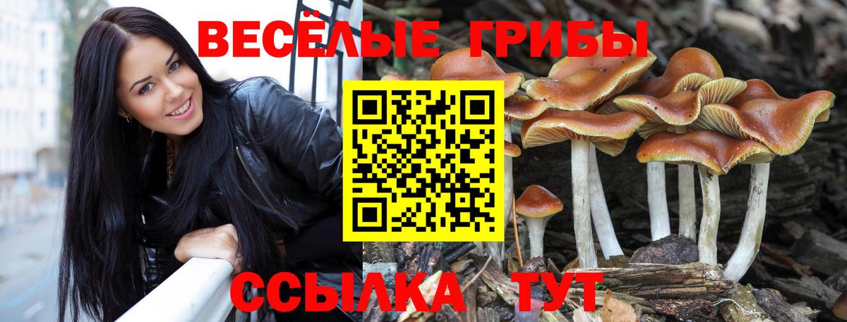 Таганрог  Галлюциногенные грибы ЛСД  наркотики  Вход с VPN 